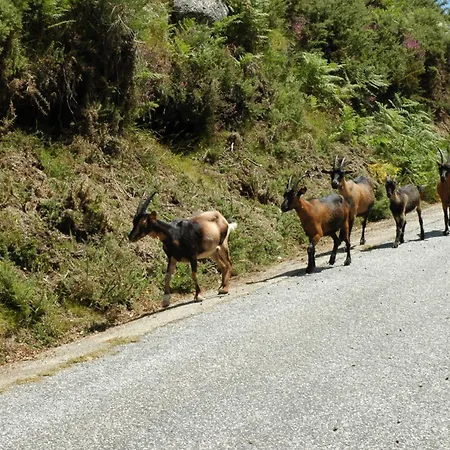 Monte Abades Séjour à la campagne