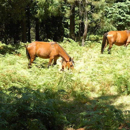 Monte Abades Hétvégi ház Terras de Bouro