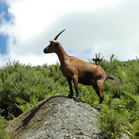 Monte Abades Séjour à la campagne *