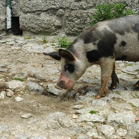 Monte Abades Terras de Bouro