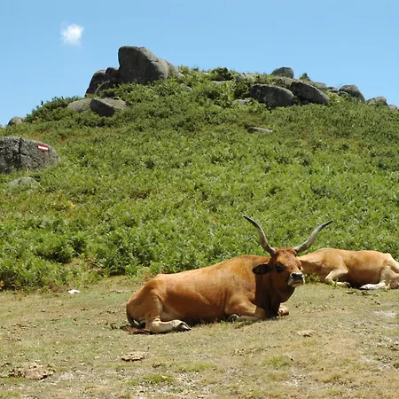 Casa di campagna Monte Abades