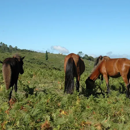 Monte Abades * Terras de Bouro