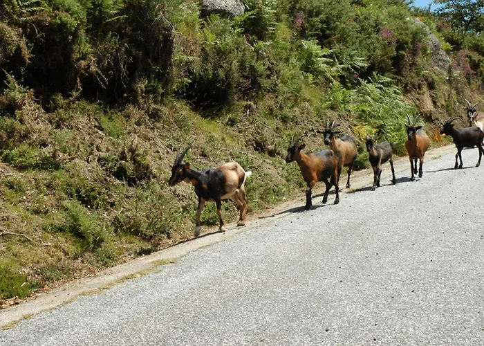Monte Abades Hétvégi ház
