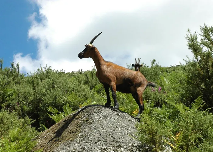 Monte Abades منزل ريفي *