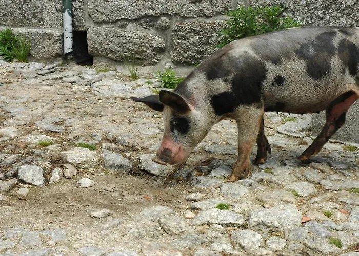 Monte Abades Terras de Bouro