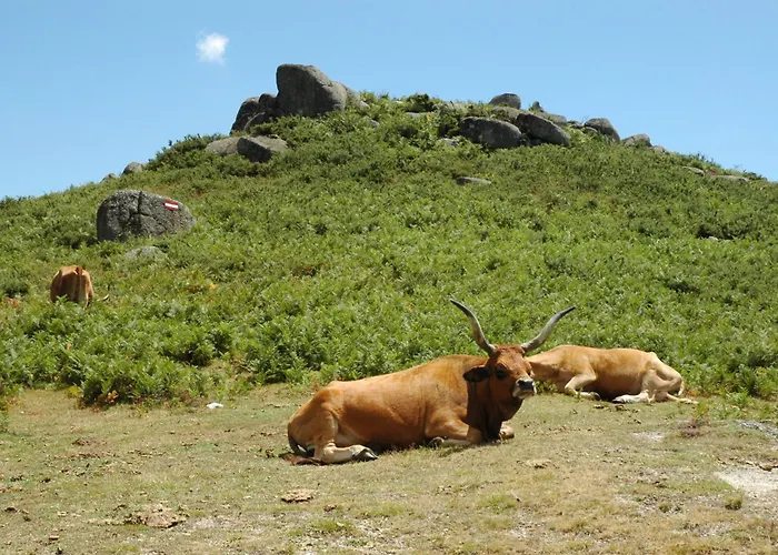 Hétvégi ház Monte Abades