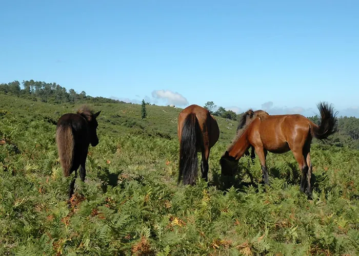 Monte Abades * تيراس دي بورو